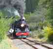 dl_27031217_Steam train2.jpg